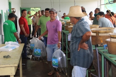 Empaer,realiza a primeira comercializaao de alevinos de 2014