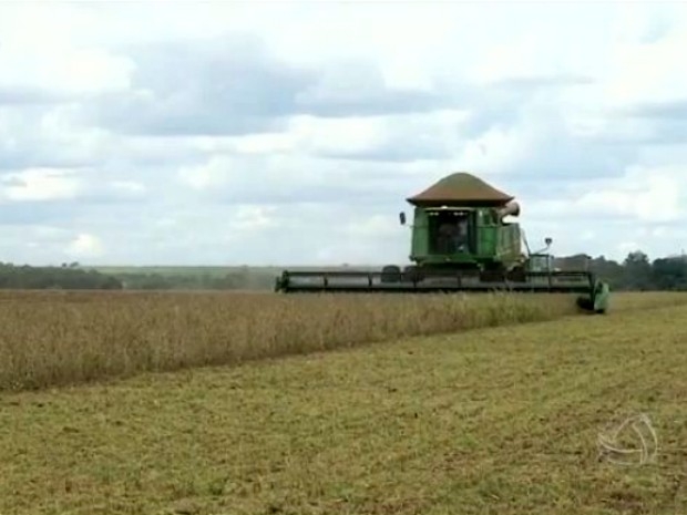 Produtores rurais de Mato Grosso do Sul já colheram cerca de 1,5 milhão de hectares cultivados com soja