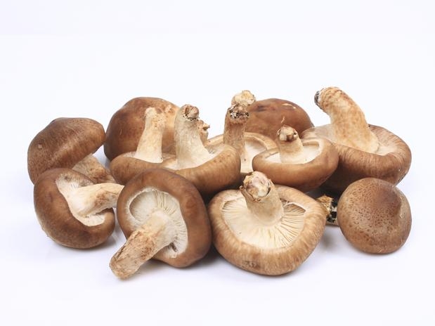 Pesquisadores acreditam que o cogumelo pode at ser substitudo pela vacina